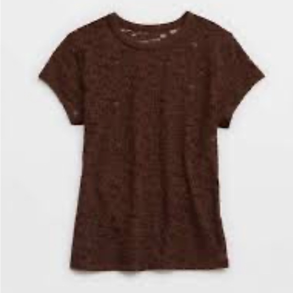 NWT Aerie Lace Vintage Short Sleeve Brown Top On Trend SZ L & XL Avail - Picture 2 of 11